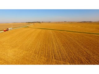 Property photo 22 - LAND AUCTION - 664+/- ACRES OFFERED IN 17 TRACTS IN CASS CO., NEBRASKA